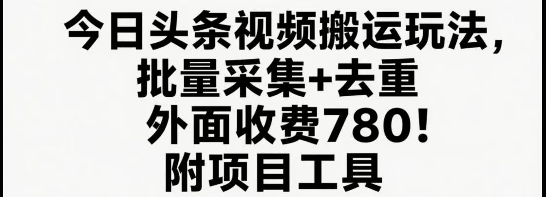 今日头条视频搬运玩法，软件一键去重，轻松日入500+附项目工具-玩备项目资源网