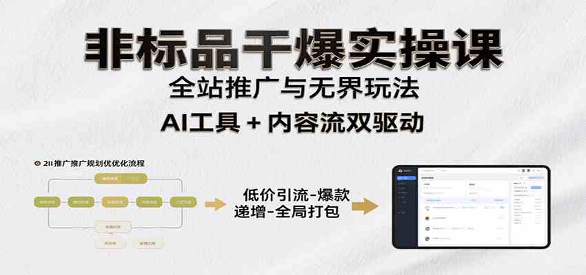非标品干爆实操课：含多案例及操盘方法，从选品到推广、成交，助力打造爆款实现盈利-玩备项目资源网