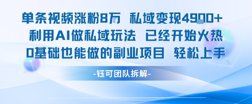 单条视频私域变现4.9k+利用AI做私域玩法 已经开始火热0基础也能做的副业项目轻松上手-玩备项目资源网
