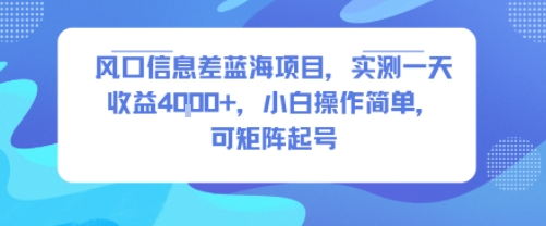 风口信息差蓝海项目，实测一天收益4k+，小白操作简单，可矩阵起号-玩备项目资源网