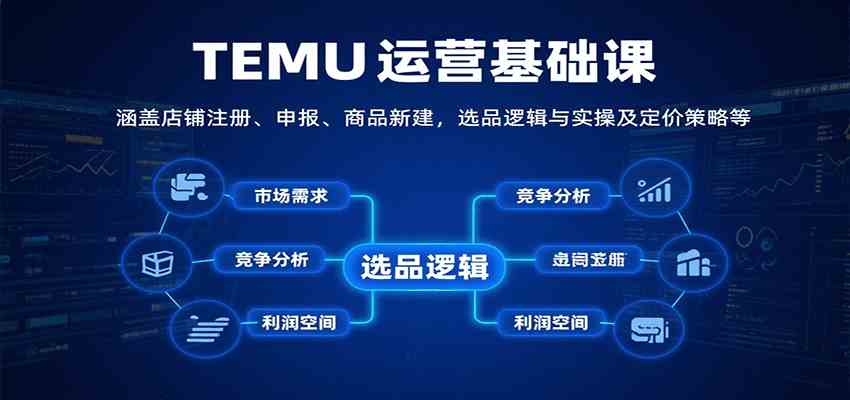 TEMU运营基础课：涵盖店铺注册、申报、商品新建，选品逻辑与实操及定价策略等-玩备项目资源网