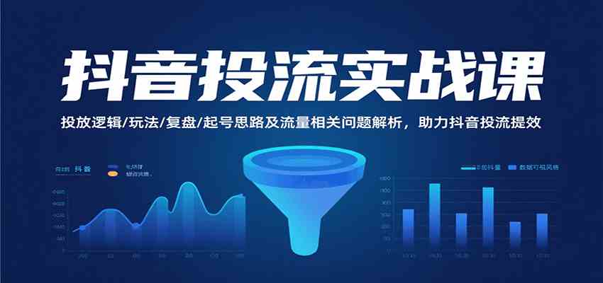 抖音投流实战课，投放逻辑/玩法/复盘/起号思路及流量相关问题解析，助力抖音投流提效-玩备项目资源网
