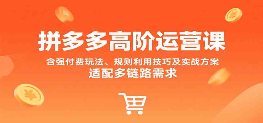 拼多多高阶运营课，含强付费玩法、规则利用技巧及实战方案，适配多链路需求-玩备项目资源网