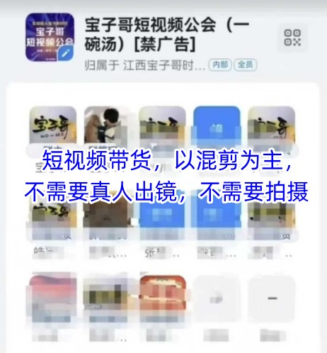 宝子哥头部团队短视频带货，以混剪为主，不需要真人出镜，不需要拍摄【更新8月】-玩备项目资源网