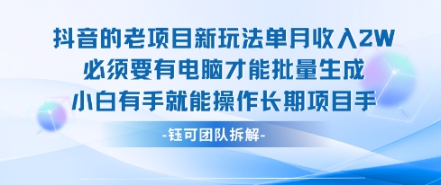 老项目新玩法单月收入2W小白有手就能操作长期项目-玩备项目资源网