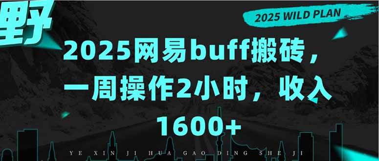 （15666期）2025网易buff搬砖，一周操作2小时，收入1600+-玩备项目资源网