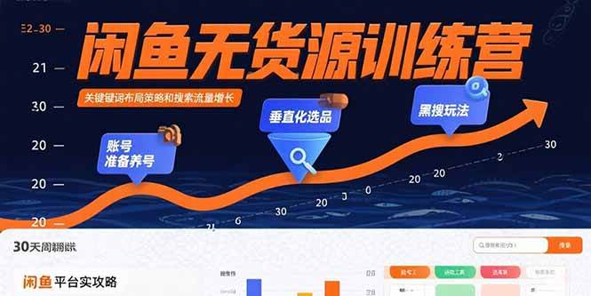 （15698期）闲鱼无货源训练营：账号准备养号/垂直化选品/黑搜玩法，0基础30天盈利指南-玩备项目资源网