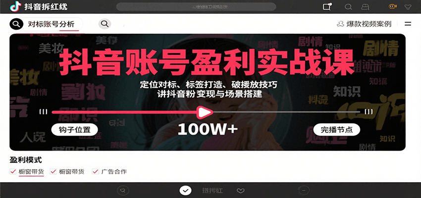抖音账号盈利实战课，定位对标、标签打造、破播放技巧，讲涨粉变现与场景搭建-玩备项目资源网