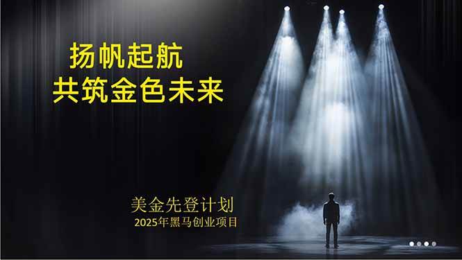 （15748期）美金对冲创业项目，日收益1000-3000，小众暴力项目稳定运行8年-玩备项目资源网