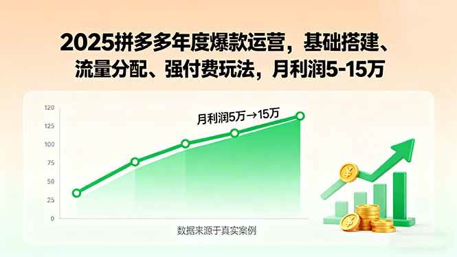 （15973期）2025拼多多年度爆款运营，基础搭建、流量分配、强付费玩法，月利润5-15万-玩备项目资源网