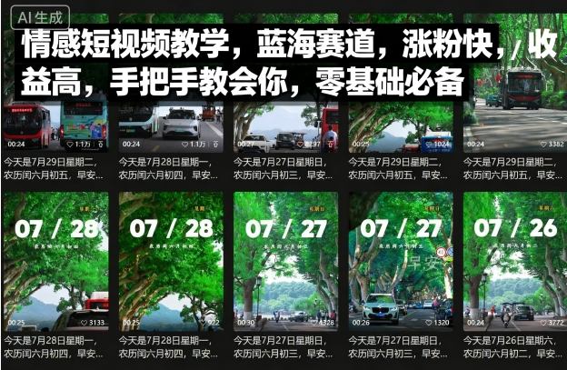 情感短视频教学，蓝海赛道，涨粉快，收益高，手把手教会你，零基础必备-玩备项目资源网