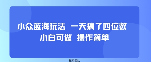 小众蓝海玩法 一天搞了四位数 小白可做 操作简单-玩备项目资源网