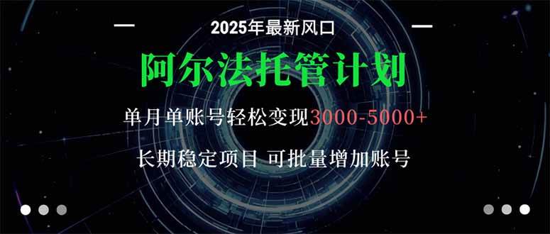 （16360期）阿尔法托管计划 单账号月入3000-5000，长期稳定项目，新手小白轻松上手。-玩备项目资源网
