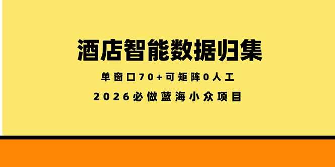 （18500期）酒店智能数据归集，小众蓝海已经稳定半年之久，单窗口70+零成本矩阵开干-玩备项目资源网