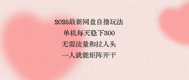 （15831期）2025最新网盘自撸玩法，单机每天稳下3张，无需流量和拉人头，一个人就…-玩备项目资源网