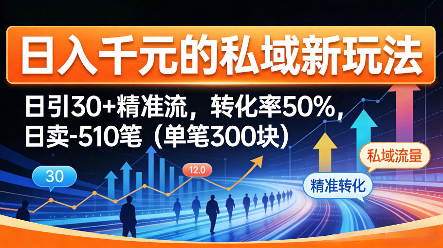 日入千米的私域新玩法：日引30＋精准流，转化率50%，日卖5-10笔（单笔300米）-玩备项目资源网