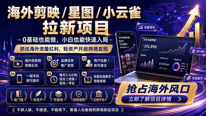（18567期）海外剪映 / 星图 / 小云雀拉新项目 普通人也能上手的跨境流量变现副业-玩备项目资源网