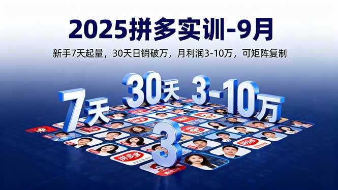 （16008期）2025拼多多实训-9月：新手7天起量,30天日销破万,月利润3-10万,可矩阵复制-玩备项目资源网
