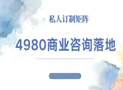 4980商业咨询师落地课程-ip运营高客单教程-玩备项目资源网