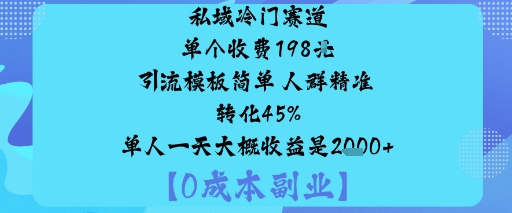 私域冷门赛道:单个收费198米引流模板简单人群精准转化45%单人一天大概收益是1k+-玩备项目资源网