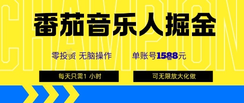 番茄音乐人掘金，单账号最高可撸1k+，可无限矩阵去做，零投入-玩备项目资源网