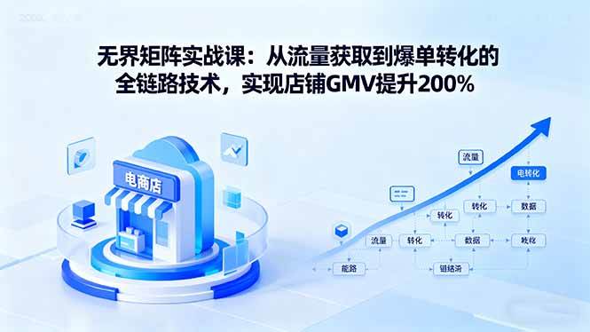（16104期）无界矩阵实战课：从流量获取到爆单转化的全链路技术，实现店铺GMV提升200%-玩备项目资源网