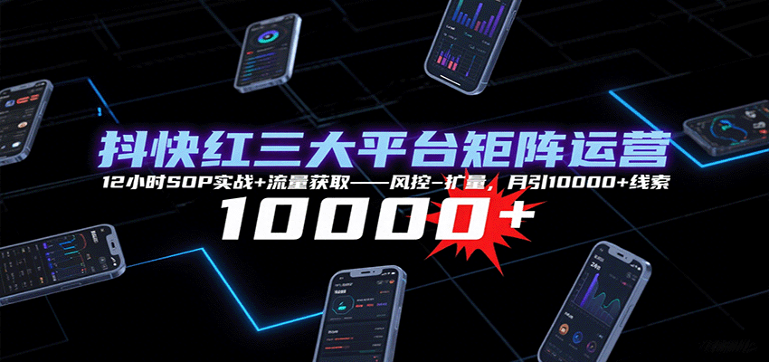 抖快红三大平台矩阵运营，12小时SOP实战+流量获取-风控-扩量，月引10000+线索-玩备项目资源网