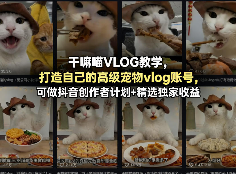 干嘛喵VLOG教学，打造自己的高级宠物vlog账号，可做抖音创作者计划+精选独家收益-玩备项目资源网