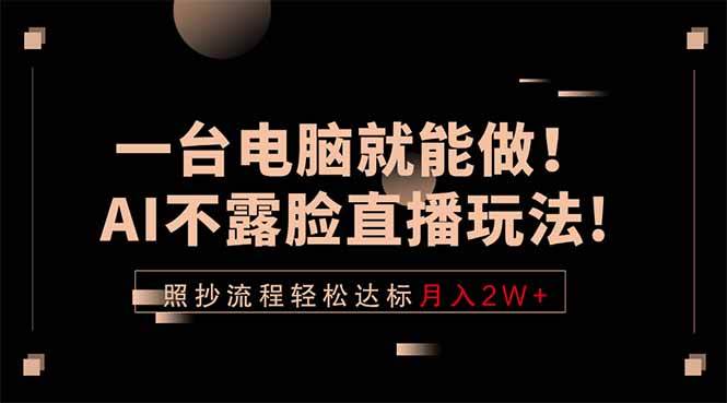 （18472期）一台电脑就能做！AI不露脸直播玩法，照抄流程轻松达标月入2W+-玩备项目资源网