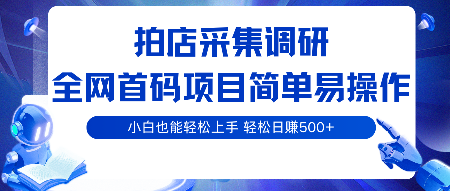 拍店采集调研，全网首码项目，简单易操作， 小白也能轻松上手，轻松日赚500+-玩备项目资源网