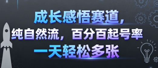成长感悟赛道，纯自然流，百分百起号率 一天轻松多张-玩备项目资源网