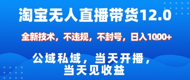 淘宝无人直播12.0，公域私域技术，不封号，不违规布局双十一流量风口，日入1k（独家技术）【揭秘】-玩备项目资源网