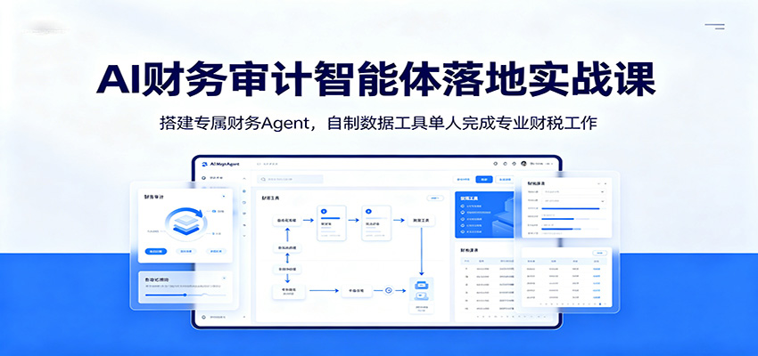 AI财务审计智能体落地实战课：搭建专属财务Agent，自制数据工具单人完成专业财税工作-玩备项目资源网