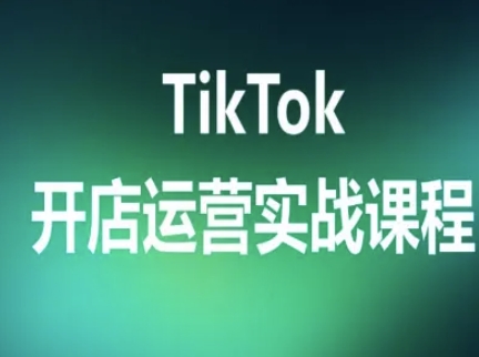 TikTok开店运营实战课程，TK跨境电商实操全流程-玩备项目资源网