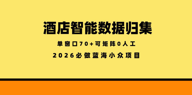 酒店智能数据归集，小众蓝海已经稳定半年之久，单窗口70+零成本矩阵开干【揭秘】-玩备项目资源网