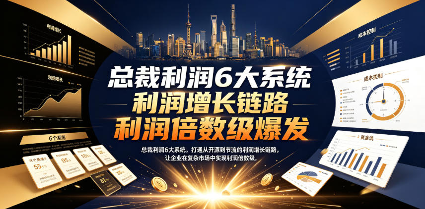 总裁利润6大系统，打通从开源到节流的利润增长链路，让企业在复杂市场中实现利润倍数级爆发-玩备项目资源网