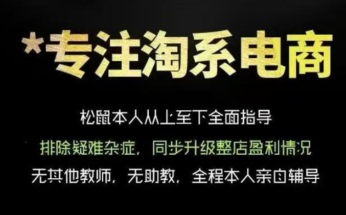 松鼠会电商VIP课程,从基础布局到高阶优化,助你掌握淘宝运营逻辑,提升店铺流量与转化-玩备项目资源网