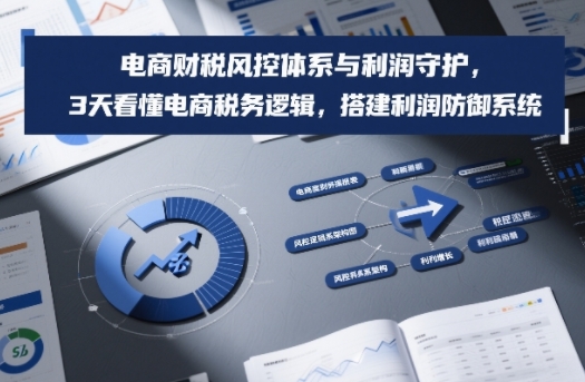 电商财税风控体系与利润守护，3天看懂电商税务逻辑，搭建利润防御系统-玩备项目资源网