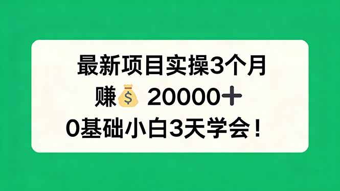 （17856期）最新项目实操3个月，赚钱20000+，0基础小白3天学会！-玩备项目资源网