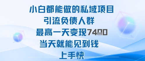 2025年小白都能做的私域项目引流负债人群最高一天变现1k+高变现难度低当天就能见到钱上手快-玩备项目资源网