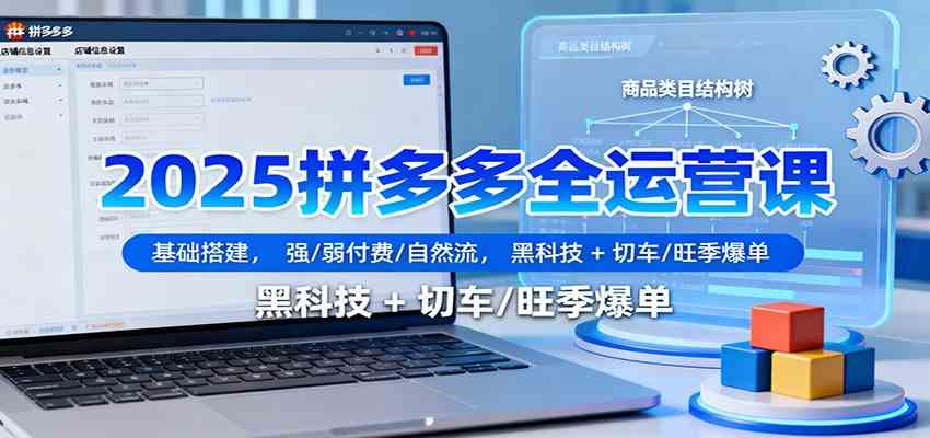 2025拼多多全运营课：基础搭建，强/弱付费/自然流，黑科技 + 切车/旺季爆单-玩备项目资源网