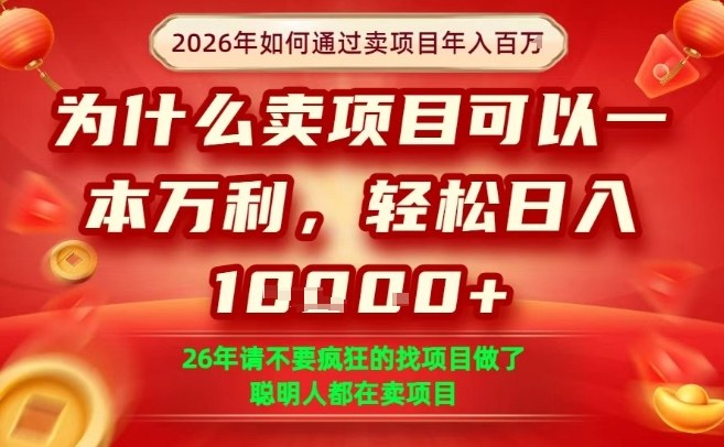 一单净利润1K+，26年想年入100个W，死磕卖项目就够了【揭秘】-玩备项目资源网