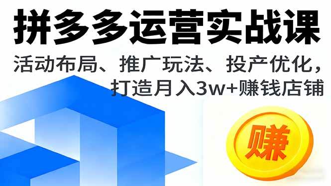 （16135期）拼多多运营实战课，活动布局、推广玩法、投产优化，打造月入3w+赚钱店铺-玩备项目资源网