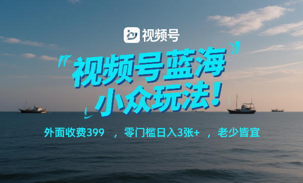 视频号蓝海小众玩法！外面收费399，零门槛日入3张+，老少皆宜-玩备项目资源网