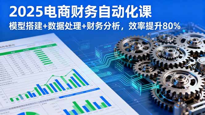 （16021期）2025电商财务自动化课，模型搭建+数据处理+财务分析，效率提升80%-玩备项目资源网