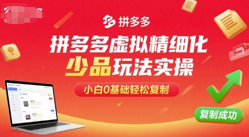 拼多多虚拟精细化少品玩法实操，小白0基础轻松复制-玩备项目资源网