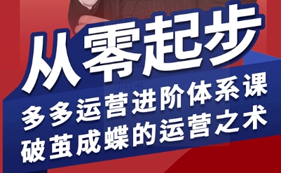 拼多多运营进阶系统课，从零起步，多多运营进阶体系课，破茧成蝶的运营之术（更新9月）-玩备项目资源网