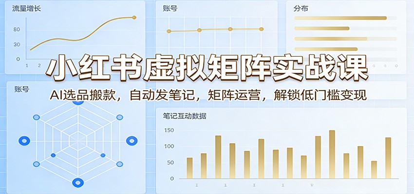 小红书虚拟矩阵实战课：AI选品搬款，自动发笔记，矩阵运营，解锁低门槛变现-玩备项目资源网