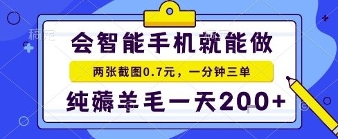 手机项目，二十秒一单，纯薅羊毛一天2张+做就有【揭秘】-玩备项目资源网