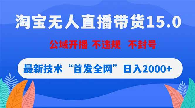（18562期）淘宝无人直播带货15.0，不封号，不违规，公域玩法，首发全网日入2000+-玩备项目资源网